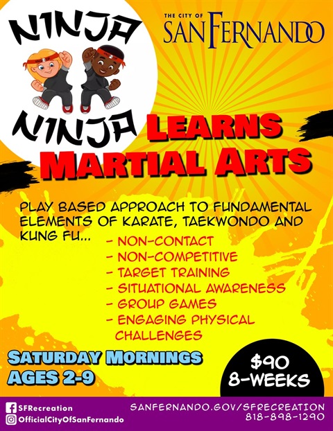 Ninja Ninja Learns flyer; graphic of children practicing martial arts